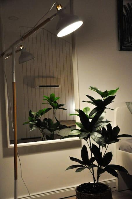 Ultracentral Modern Apartment Târgu-Mureş エクステリア 写真